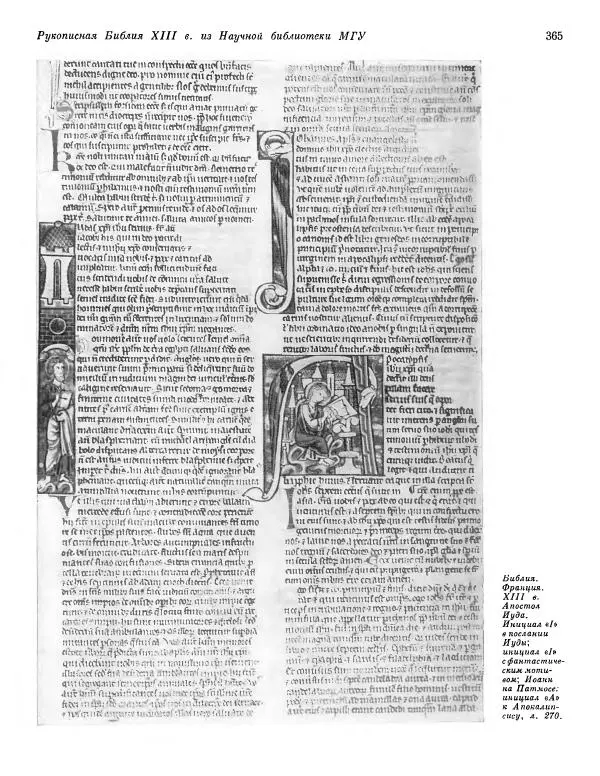  ежегодник «Памятники культуры. Новые открытия» - Памятники культуры. Новые открытия 1974 - Страница № 367