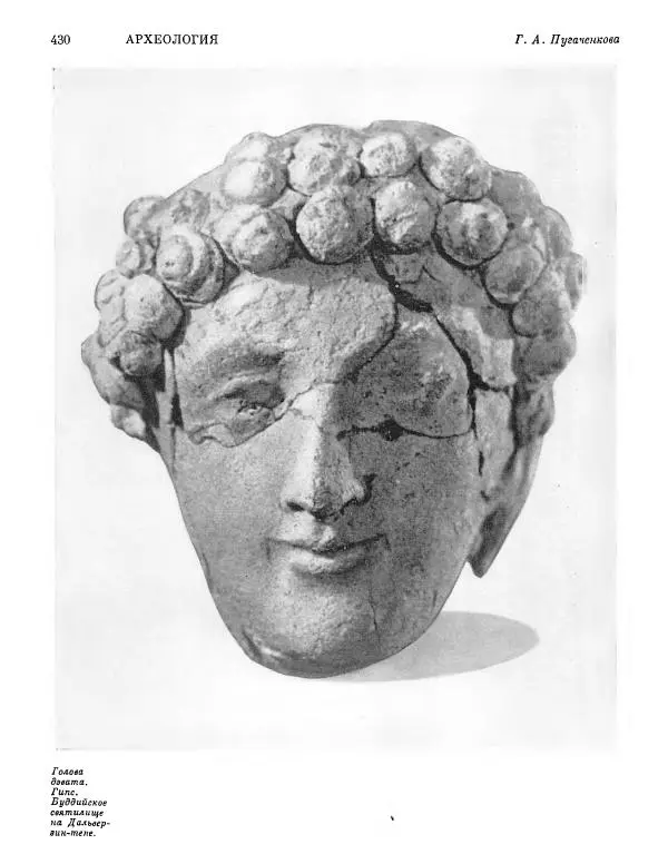  ежегодник «Памятники культуры. Новые открытия» - Памятники культуры. Новые открытия 1974 - Страница № 432