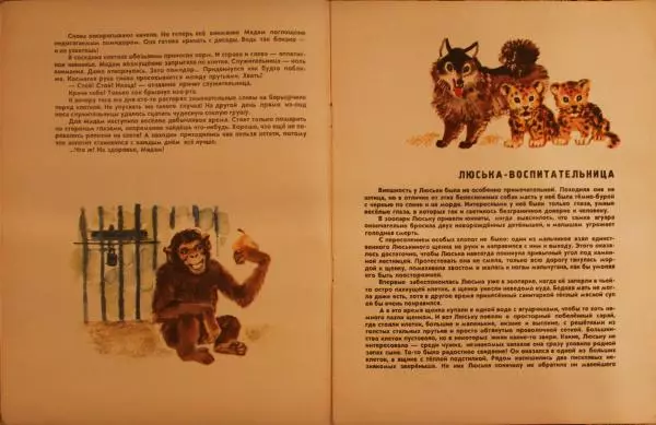 Виктор Балашов - За оградой зоопарка - Страница № 4