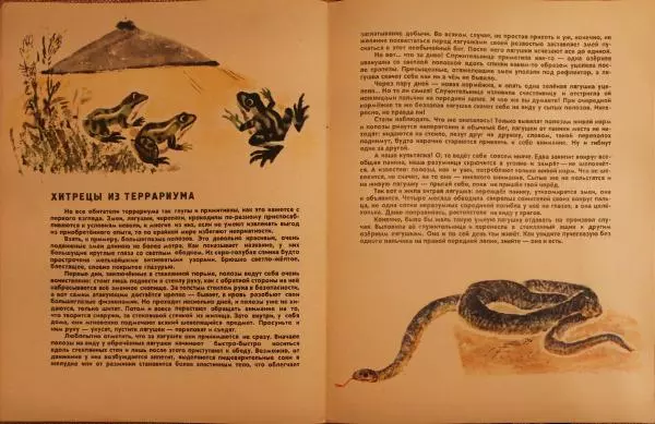 Виктор Балашов - За оградой зоопарка - Страница № 12