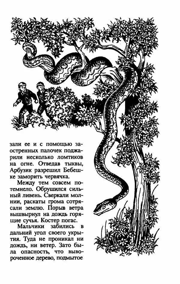 Эдуард Скобелев - В стране чудовищ - Страница № 62