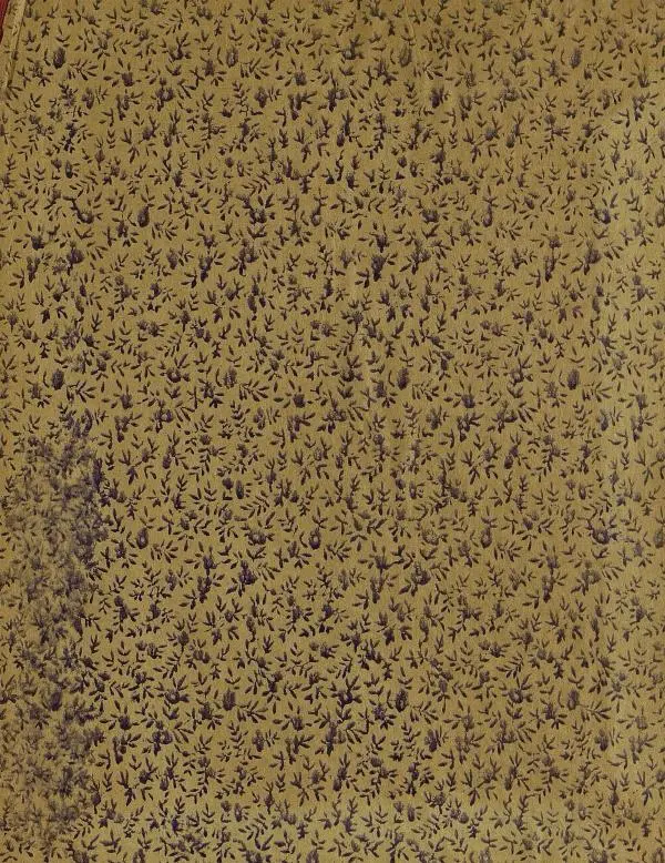  альманах «Детский мир» - Детский мир 1907 №07 - Страница № 41