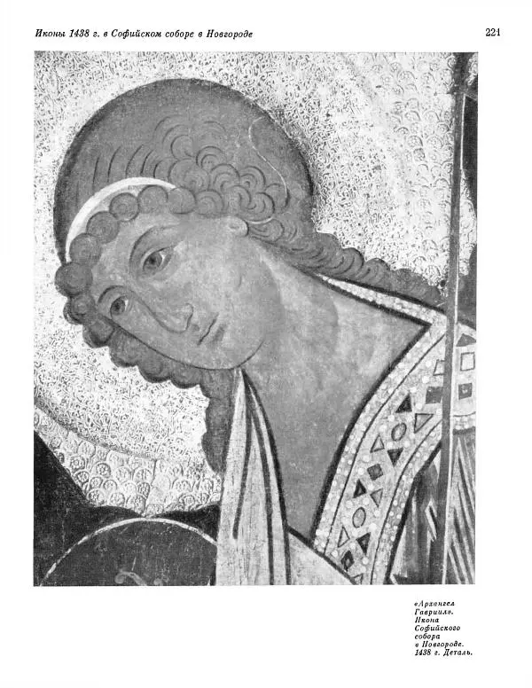  ежегодник «Памятники культуры. Новые открытия» - Памятники культуры. Новые открытия 1977 - Страница № 223