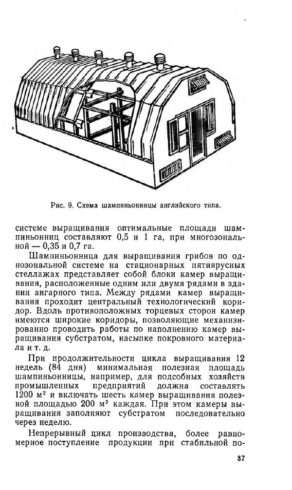 Л. Девочкин - Шампиньоны - Страница № 37