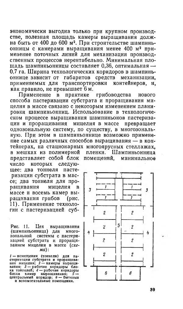 Л. Девочкин - Шампиньоны - Страница № 39