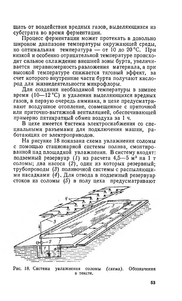 Л. Девочкин - Шампиньоны - Страница № 53