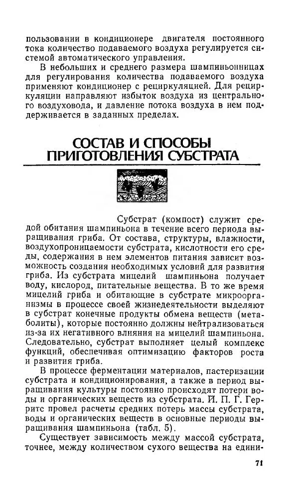 Л. Девочкин - Шампиньоны - Страница № 71