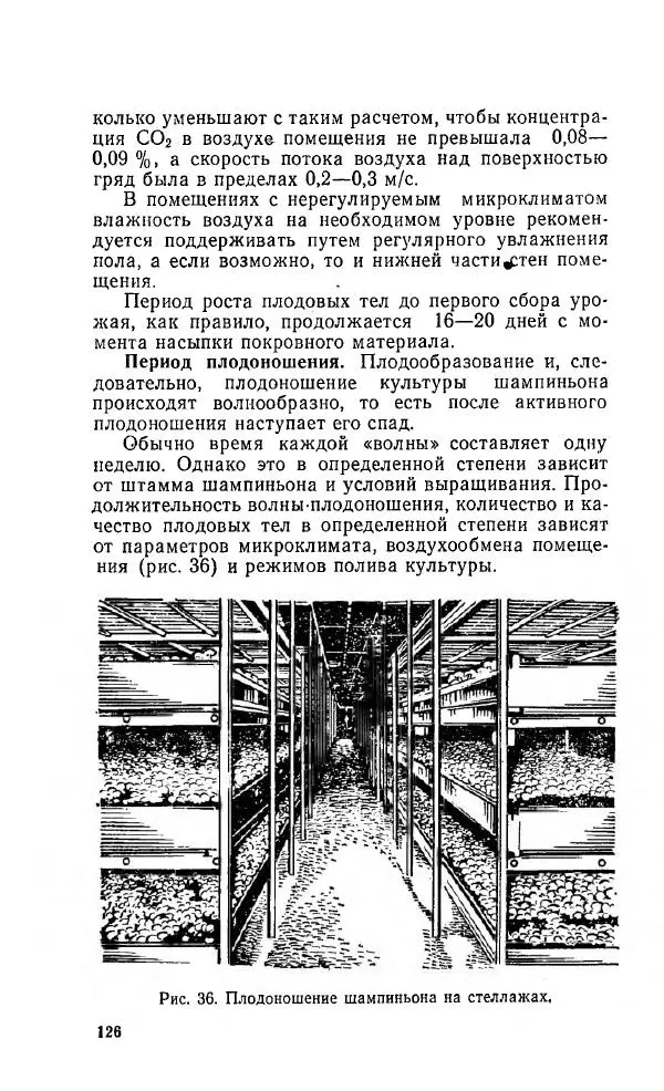 Л. Девочкин - Шампиньоны - Страница № 126