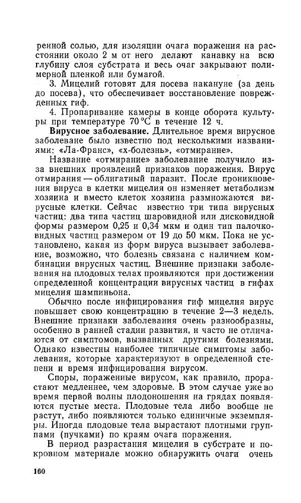 Л. Девочкин - Шампиньоны - Страница № 160