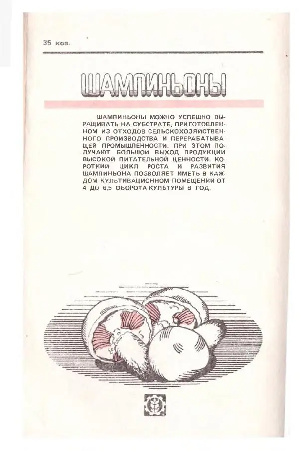 Л. Девочкин - Шампиньоны - Страница № 177