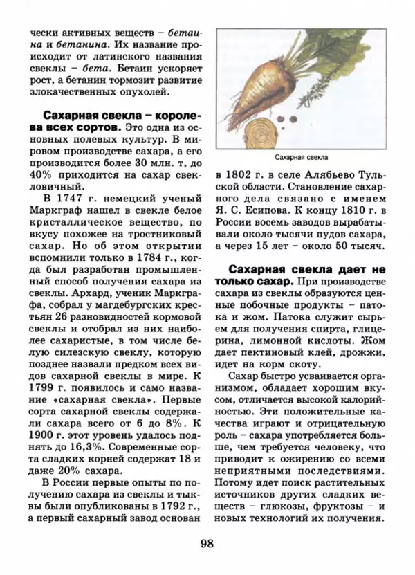 Валентина Верещагина - Растения Прикамья - Страница № 100