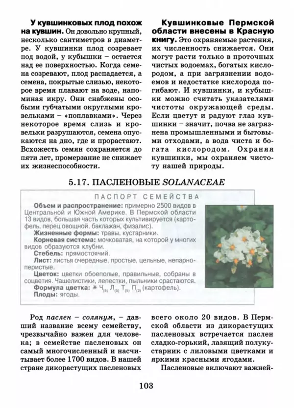 Валентина Верещагина - Растения Прикамья - Страница № 105