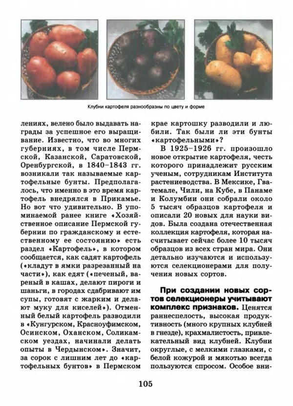 Валентина Верещагина - Растения Прикамья - Страница № 107
