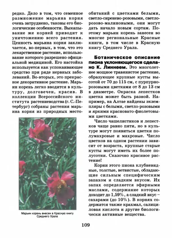 Валентина Верещагина - Растения Прикамья - Страница № 111
