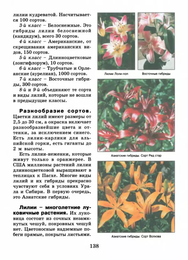 Валентина Верещагина - Растения Прикамья - Страница № 140