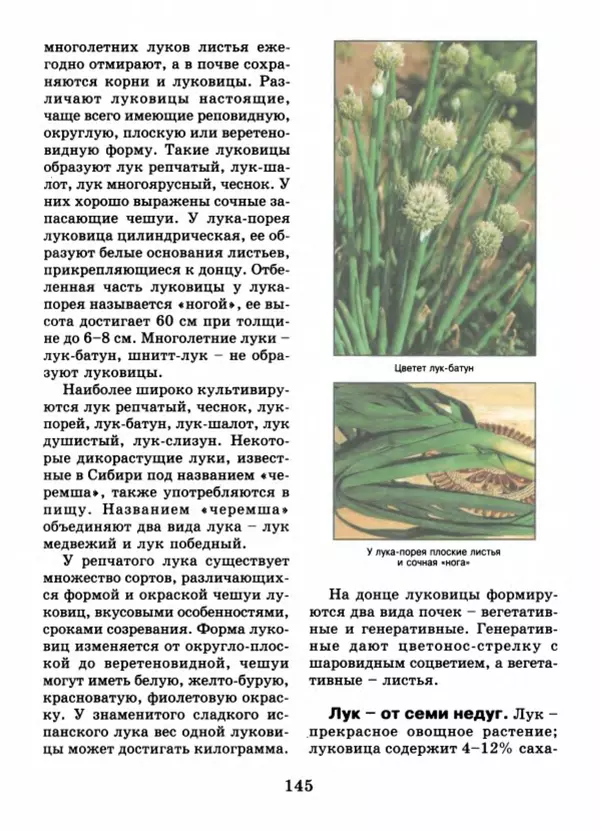 Валентина Верещагина - Растения Прикамья - Страница № 147