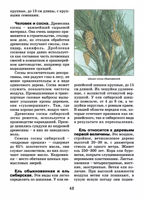 Валентина Верещагина - Растения Прикамья - Страница № 45