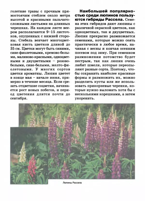 Валентина Верещагина - Растения Прикамья - Страница № 59