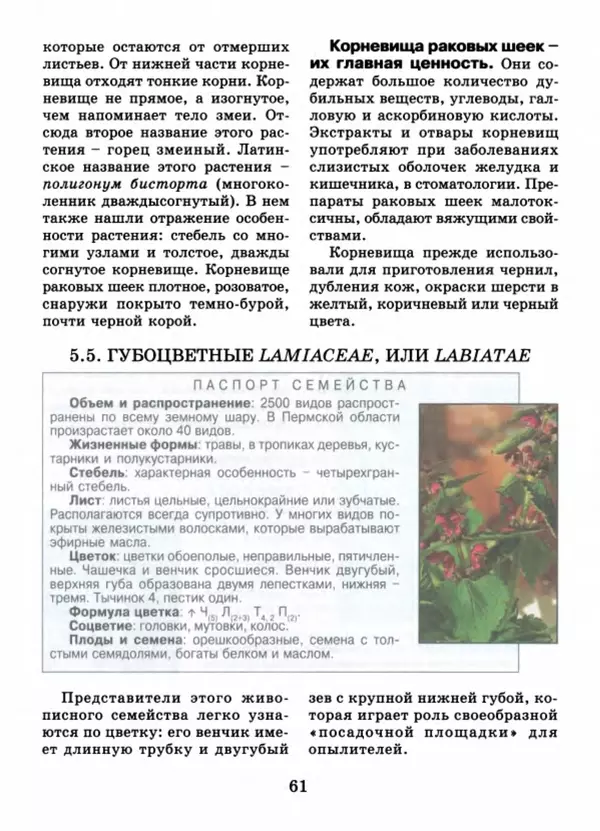 Валентина Верещагина - Растения Прикамья - Страница № 63