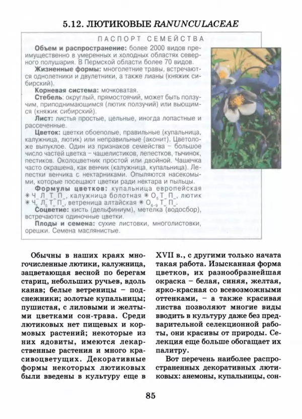 Валентина Верещагина - Растения Прикамья - Страница № 87