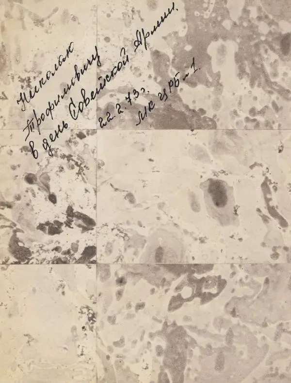  Сборник - Добровольцы Урала. Воспоминания, очерки - Страница № 3