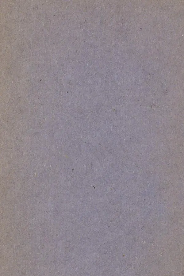  Автор неизвестен - Народные сказки - Русския сказки для детей - Страница № 116