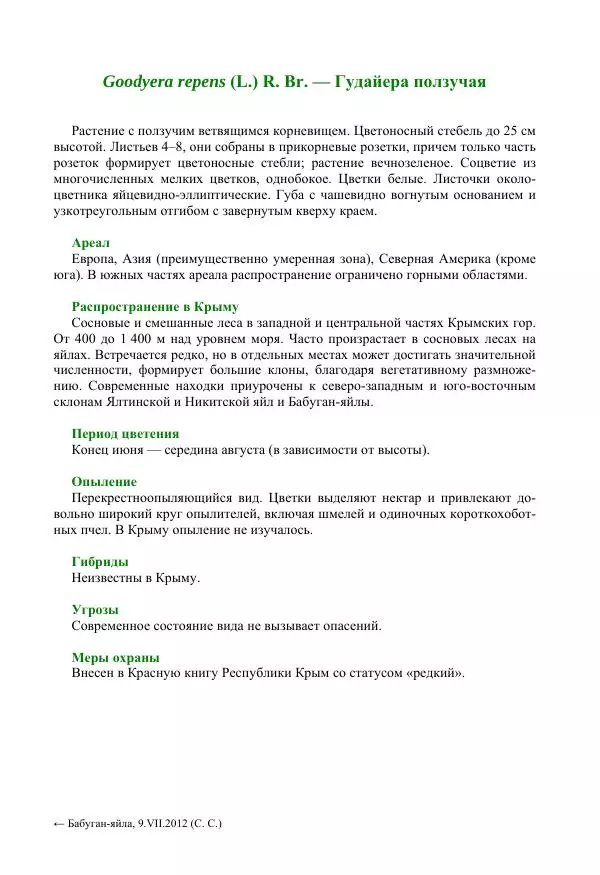 Александр Фатерига - Орхидеи Крымского полуострова - Страница № 42