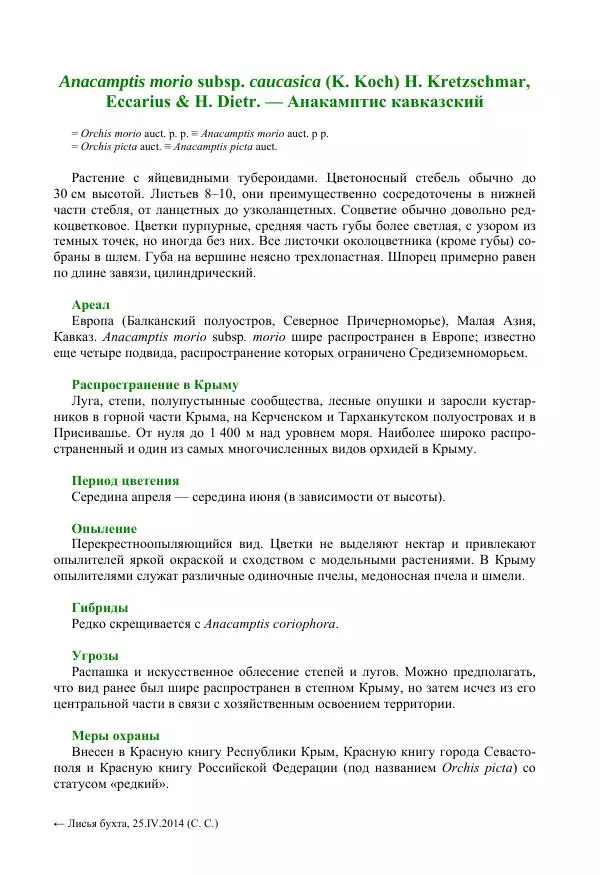 Александр Фатерига - Орхидеи Крымского полуострова - Страница № 54