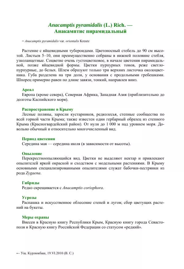 Александр Фатерига - Орхидеи Крымского полуострова - Страница № 58