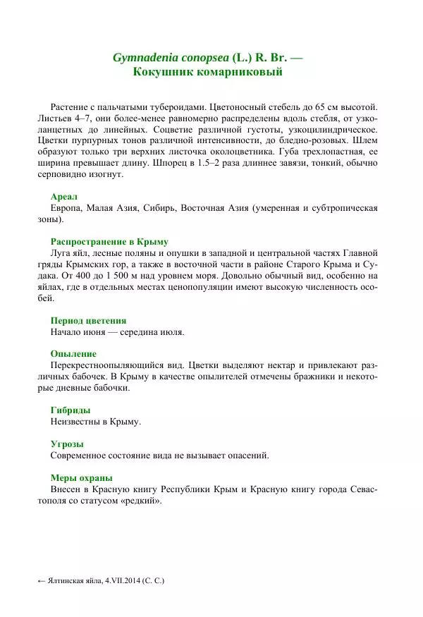 Александр Фатерига - Орхидеи Крымского полуострова - Страница № 78