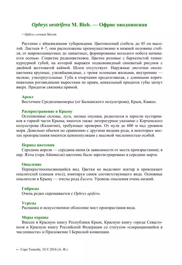 Александр Фатерига - Орхидеи Крымского полуострова - Страница № 106