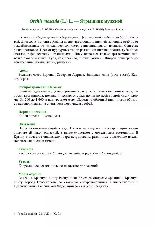 Александр Фатерига - Орхидеи Крымского полуострова - Страница № 110