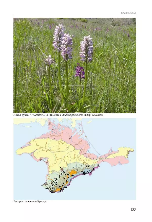 Александр Фатерига - Орхидеи Крымского полуострова - Страница № 136