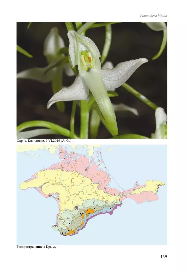 Александр Фатерига - Орхидеи Крымского полуострова - Страница № 140