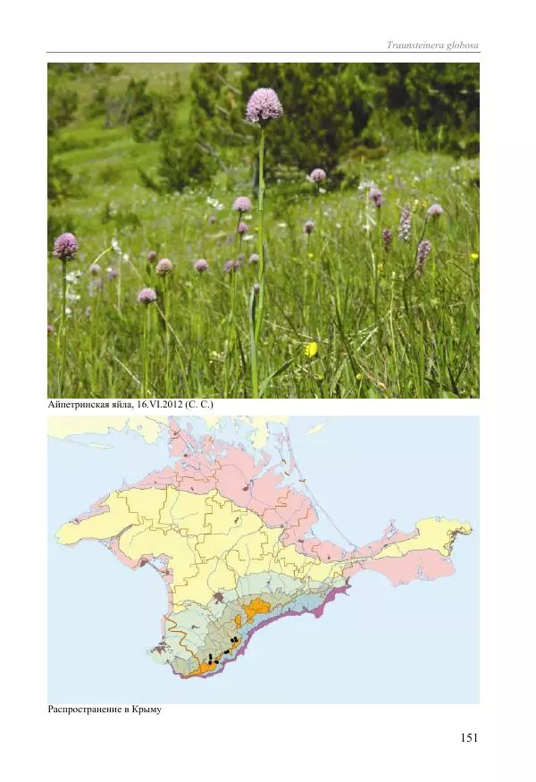 Александр Фатерига - Орхидеи Крымского полуострова - Страница № 152