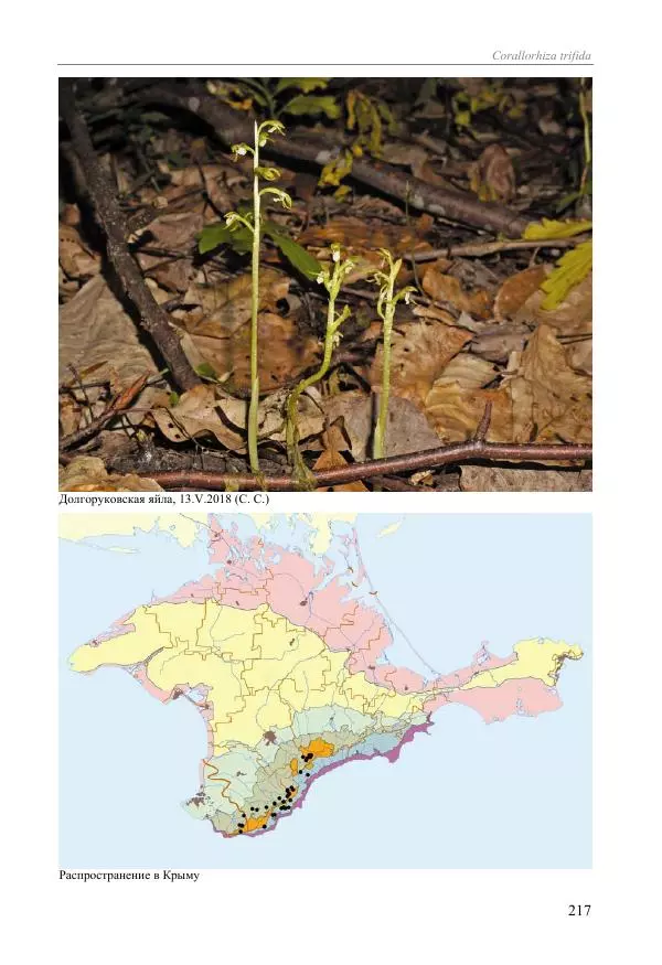 Александр Фатерига - Орхидеи Крымского полуострова - Страница № 218