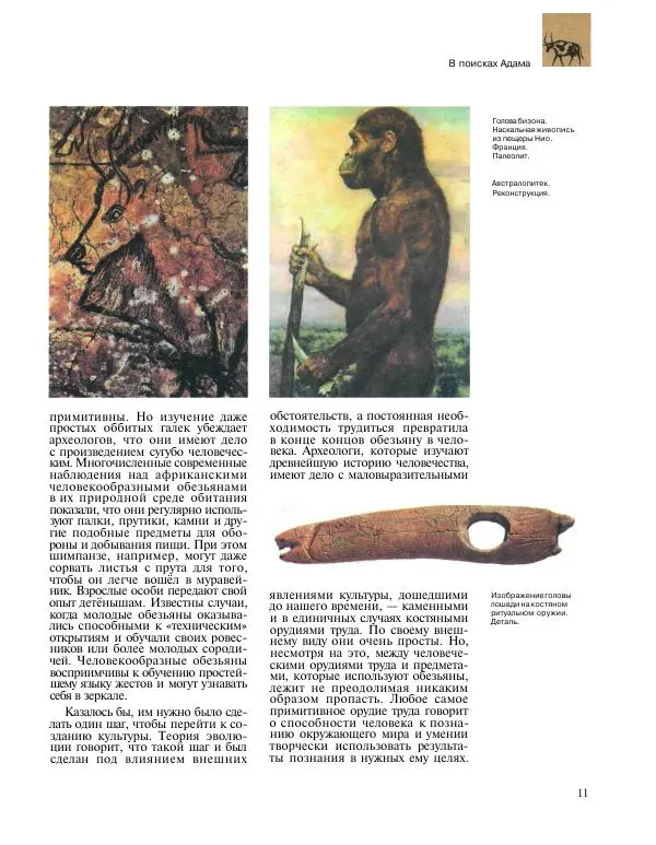  Энциклопедия для детей Аванта+ - Энциклопедия для детей. Том 31. Древние цивилизации - Страница № 12