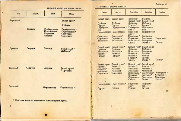 Владимир Тойбис - За грибами - Страница № 10