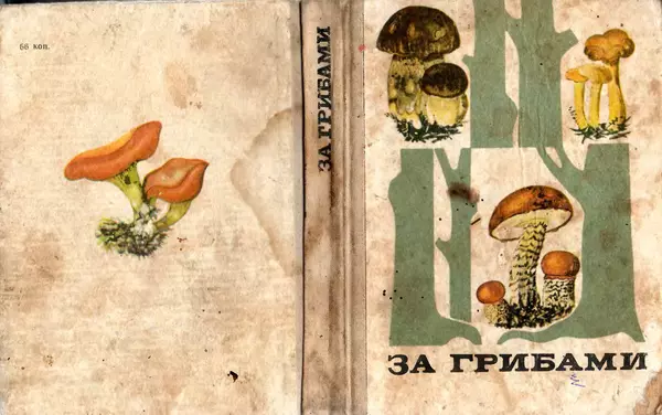 Владимир Тойбис - За грибами - Страница № 2