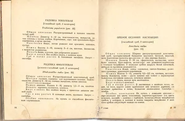 Владимир Тойбис - За грибами - Страница № 51