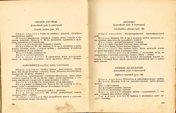 Владимир Тойбис - За грибами - Страница № 57