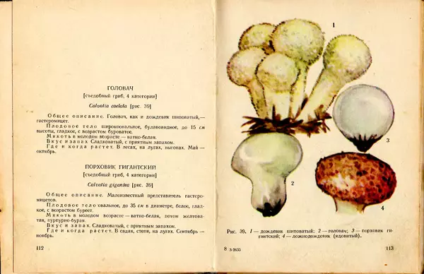 Владимир Тойбис - За грибами - Страница № 59