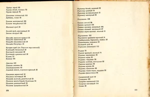 Владимир Тойбис - За грибами - Страница № 80