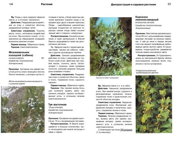 Хорст Альтманн - Ядовитые растения. Ядовитые животные - Страница № 8