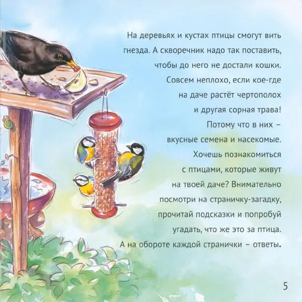 Майк Анвин - Кто живёт у нас на даче. Птицы - Страница № 8