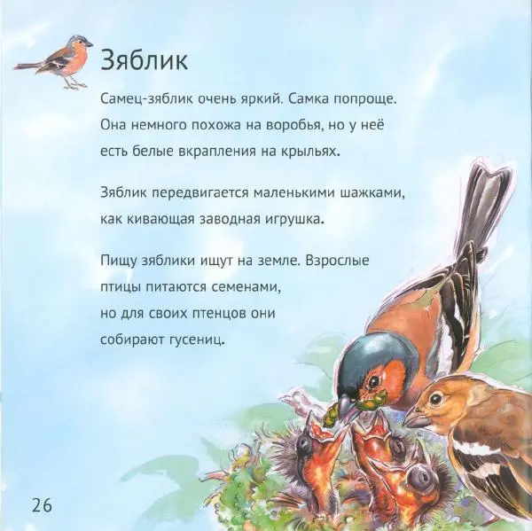 Майк Анвин - Кто живёт у нас на даче. Птицы - Страница № 29