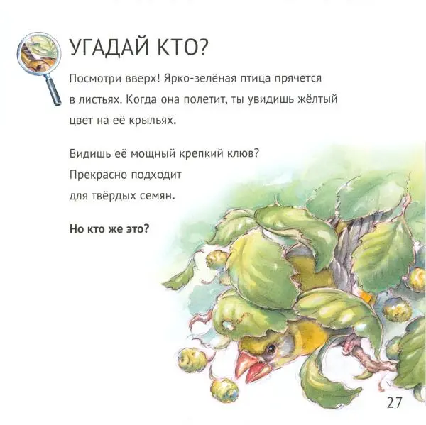 Майк Анвин - Кто живёт у нас на даче. Птицы - Страница № 30