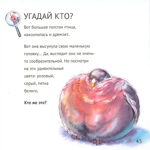 Майк Анвин - Кто живёт у нас на даче. Птицы - Страница № 48