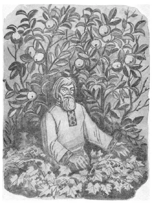  Сборник - Русские народные песни - Страница № 8