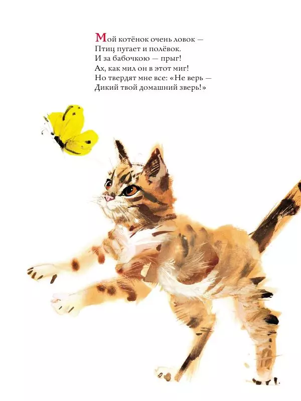 Михаил Вирозуб - Удивительные кошачьи истории - Страница № 13 Михаил Вирозуб - Удивительные кошачьи истории - Страница № 13